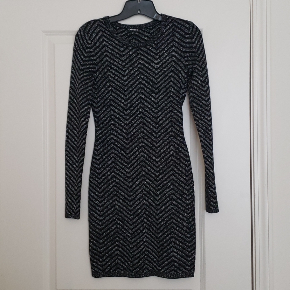 Express Black and Silver Bodycon Dress